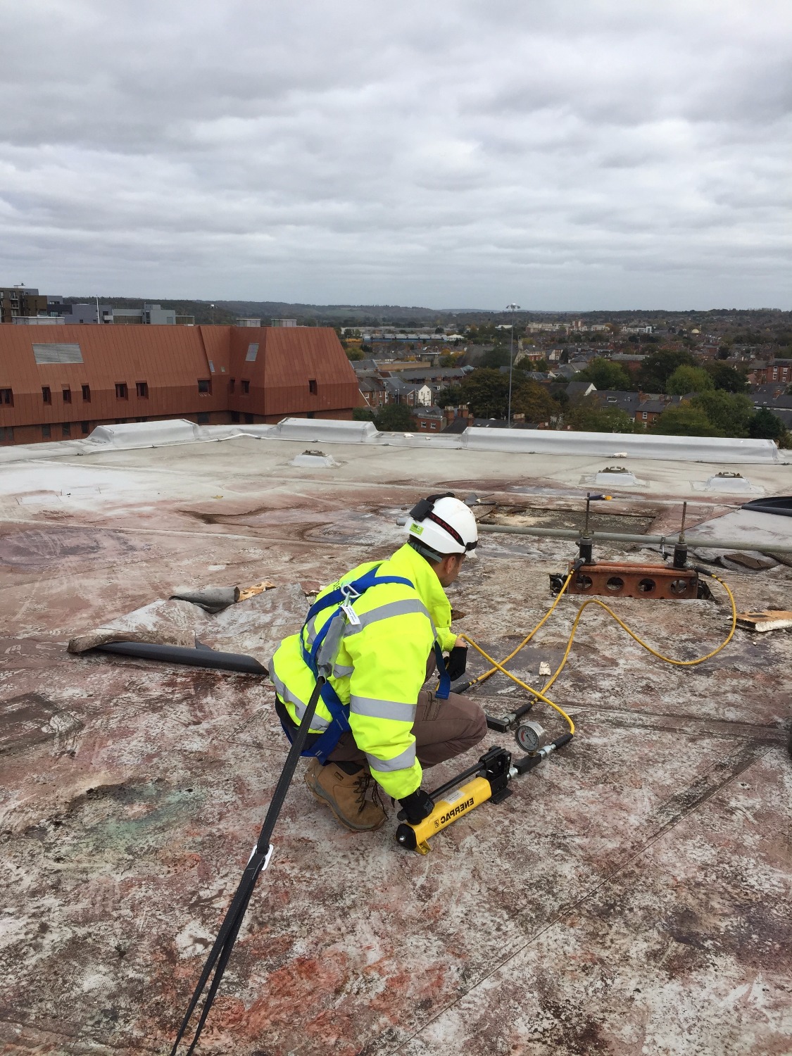 Why choose Swantest?